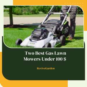 Two-Best-Gas-Lawn-Mowers-Under-100