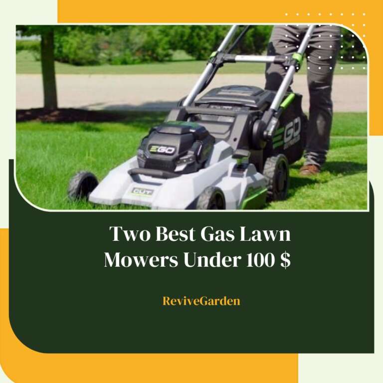 Two Best Gas Lawn Mowers Under 100 Reviews & Buying Guide
