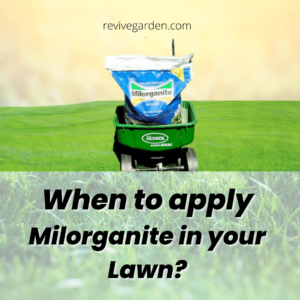 When to apply Milorganite