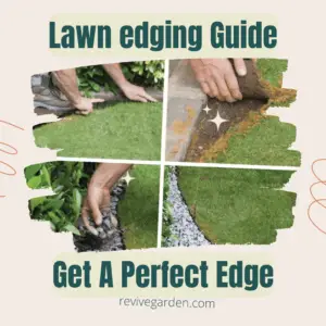 Lawn Edging Guide