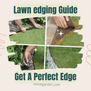 edging-guide