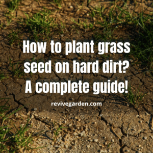 how-to-plant-grass-seed-on-hard-dirt
