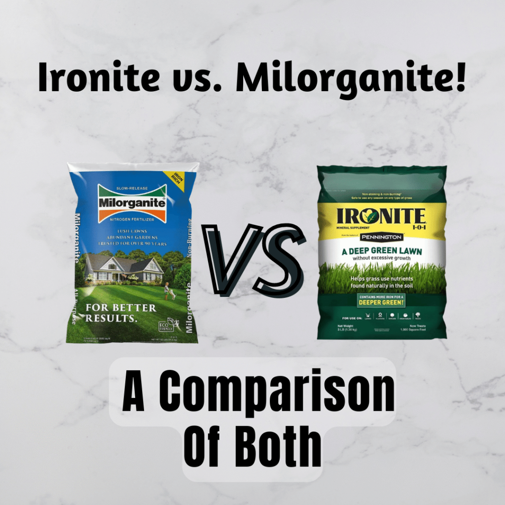 Ironite vs. A Comparison Of Both