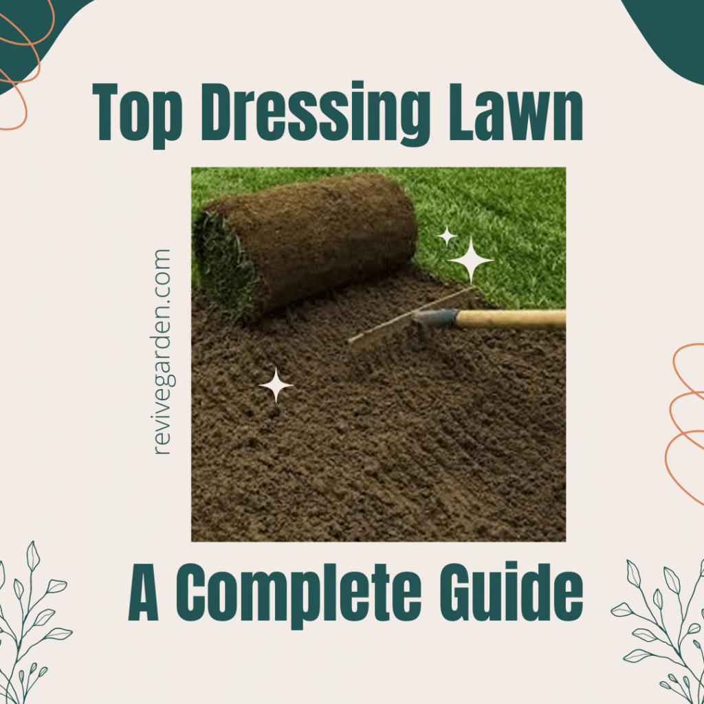 Top Dressing Lawn A Comprehensive Guide
