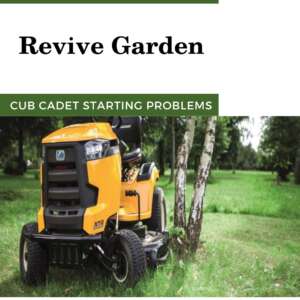 Cub-Cadet-Starting-Problems