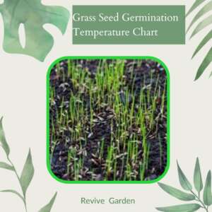 Grass-Seed-Germination-Temperature-Chart