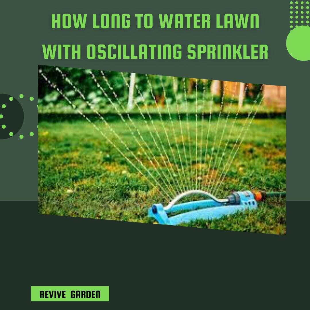 How-Long-To-Water-Lawn-With-Oscillating-Sprinkler