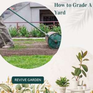 How-to-Grade-A-Yard