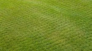 Is-It-Beneficial-To-Mow-The-Lawn-After-Aerating-It