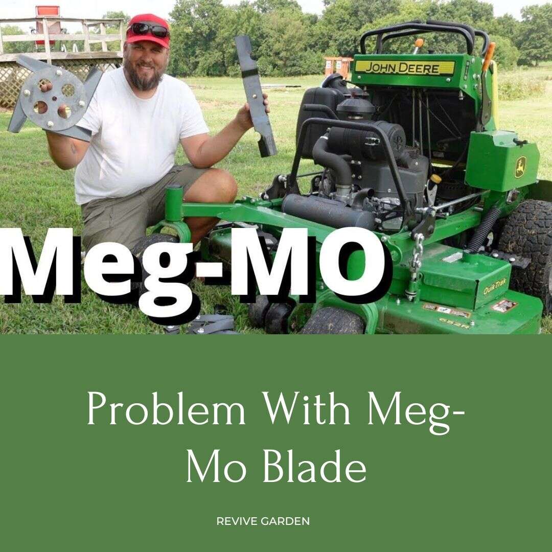 Problem-With-Meg-Mo-Blade
