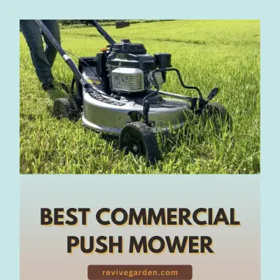 Best Commercial Push Mower