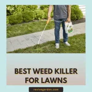 Best Weed Killer For Lawns