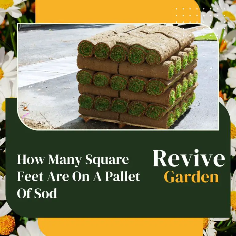 How Many Square Feet Are On A Pallet Of Sod? Calculator