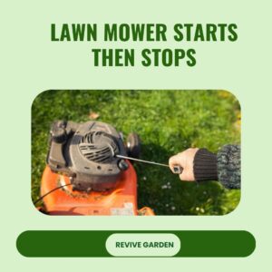Lawn Mower Starts Then Stops