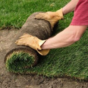 The size and shape of the sod rolls