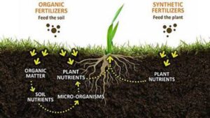 Add Organic Matter to Soil