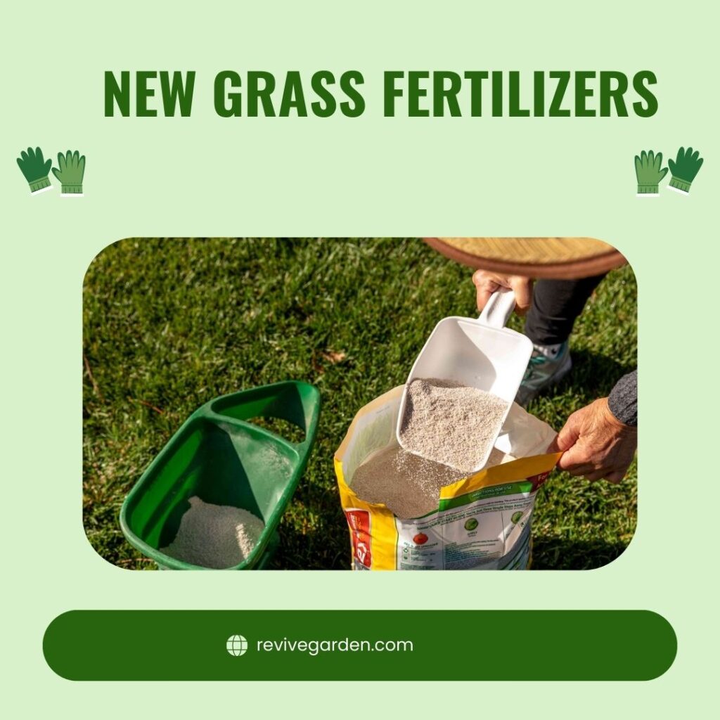 New Grass Fertilizers What’s Best & What To Avoid