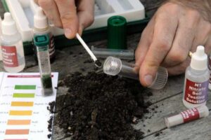 Test the pH Level of the Soil