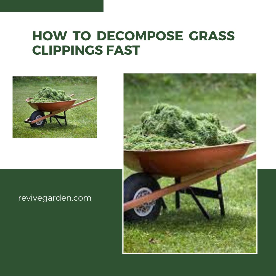 decompose grass clippings fast