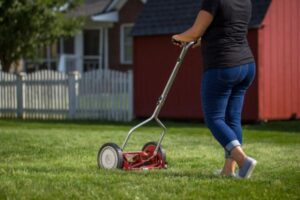 environmentally friendly lawn mower